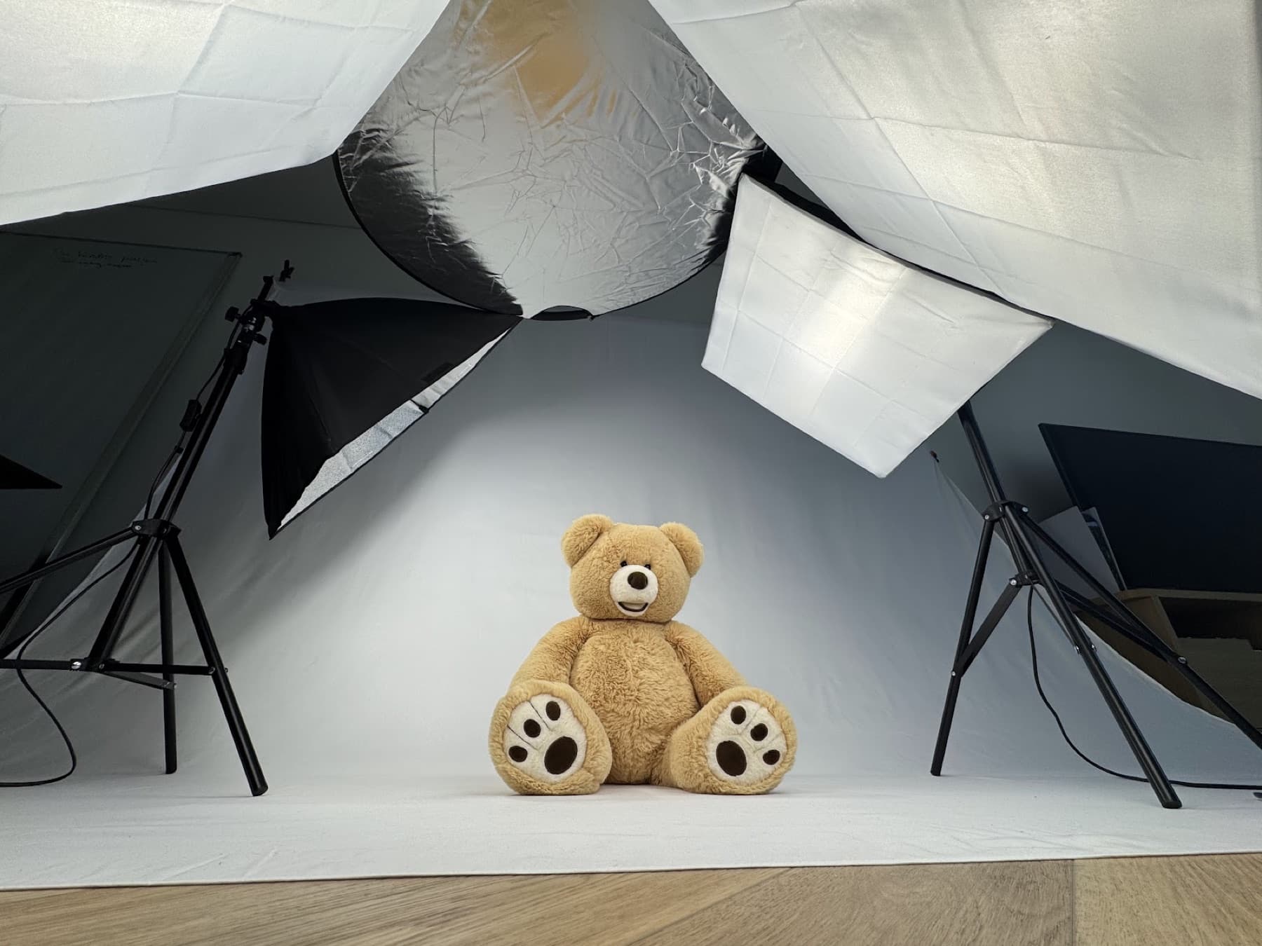 Theo, the TeddyChamps bear, on a studio set between softboxes