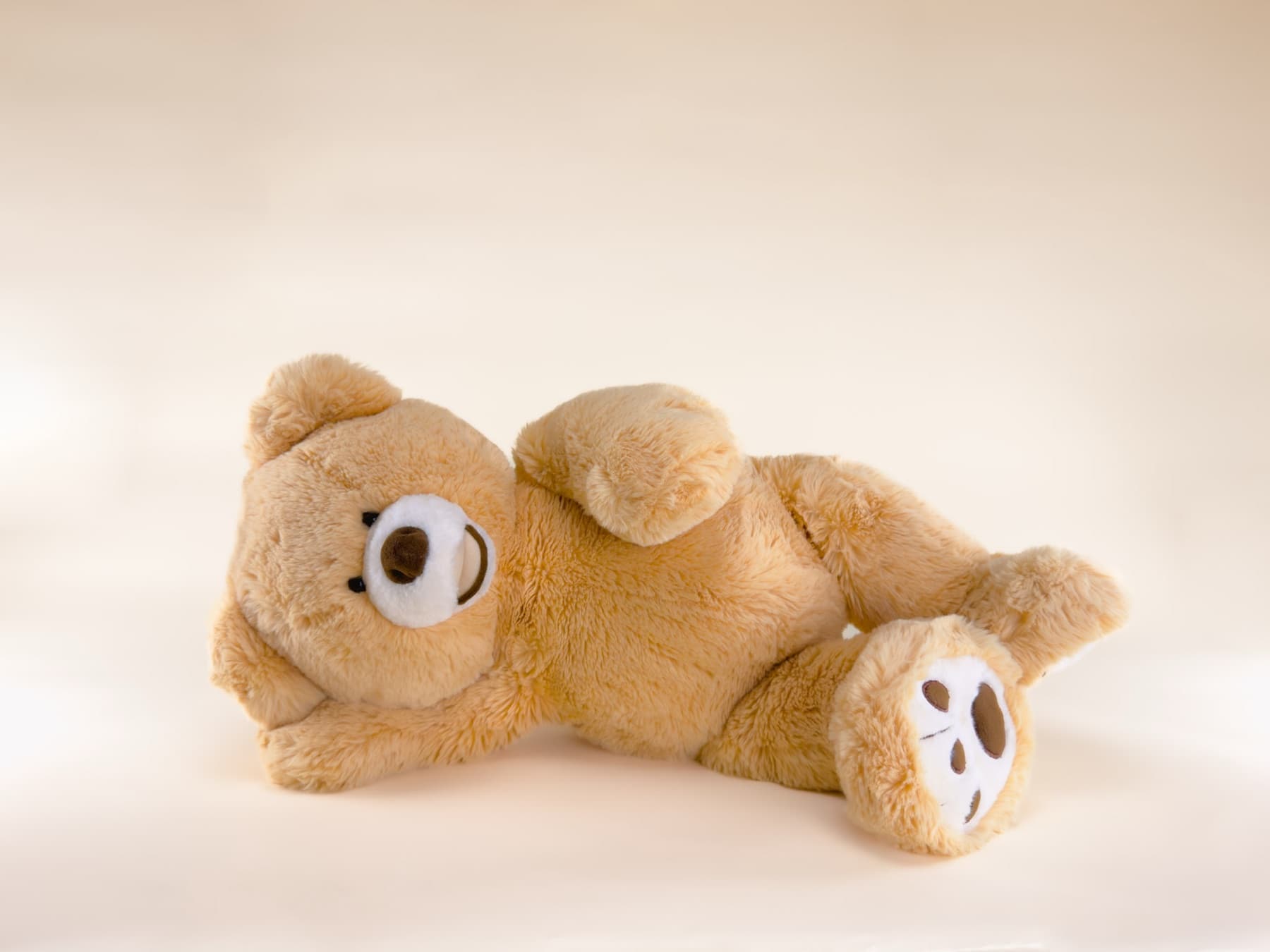 A plush bear lying alone on a cream studio backdrop