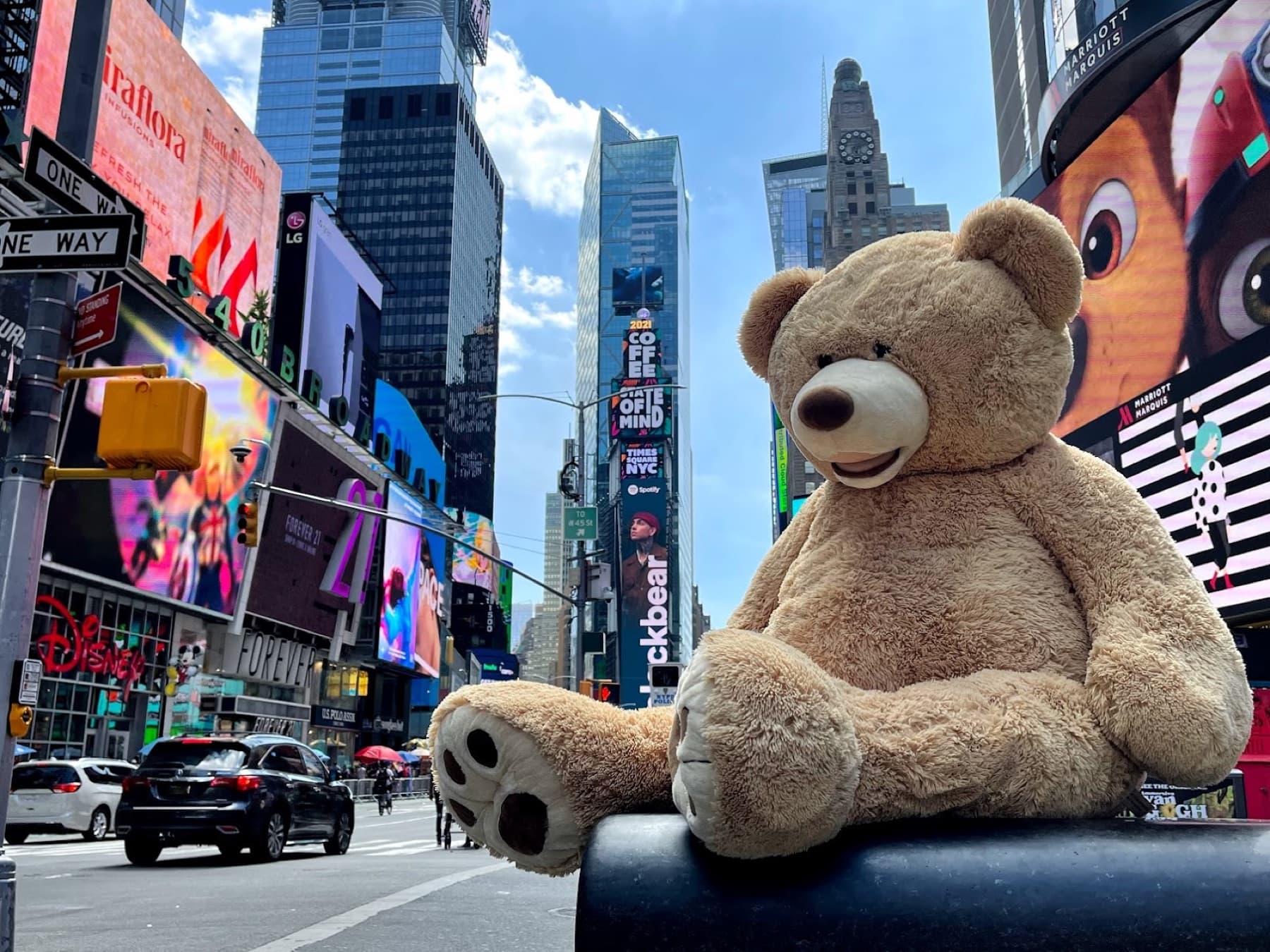 Theo on Times Square, New York